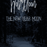 Snowy dark forest with moon shining
