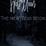 Snowy dark forest with moon shining