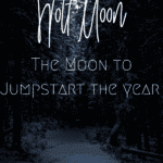 Snowy dark forest with moon shining