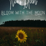 Field of sunflowers under the Flower Moon